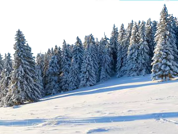 Snow 3d model