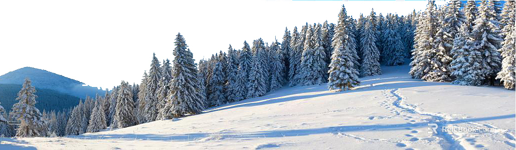 Snow texture