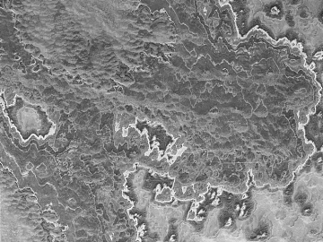 Black and White Bump Rock Texture Map texture (ID:ffaeh627236)