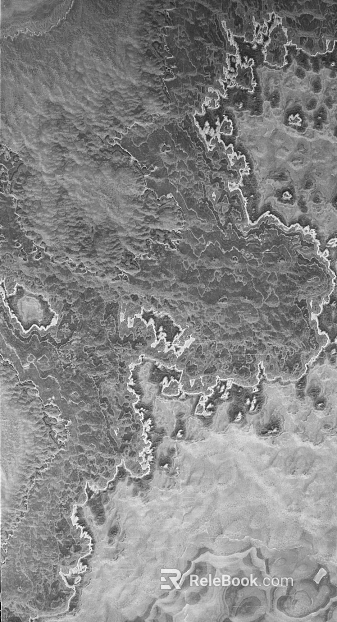 Black and White Bump Rock Texture Map texture