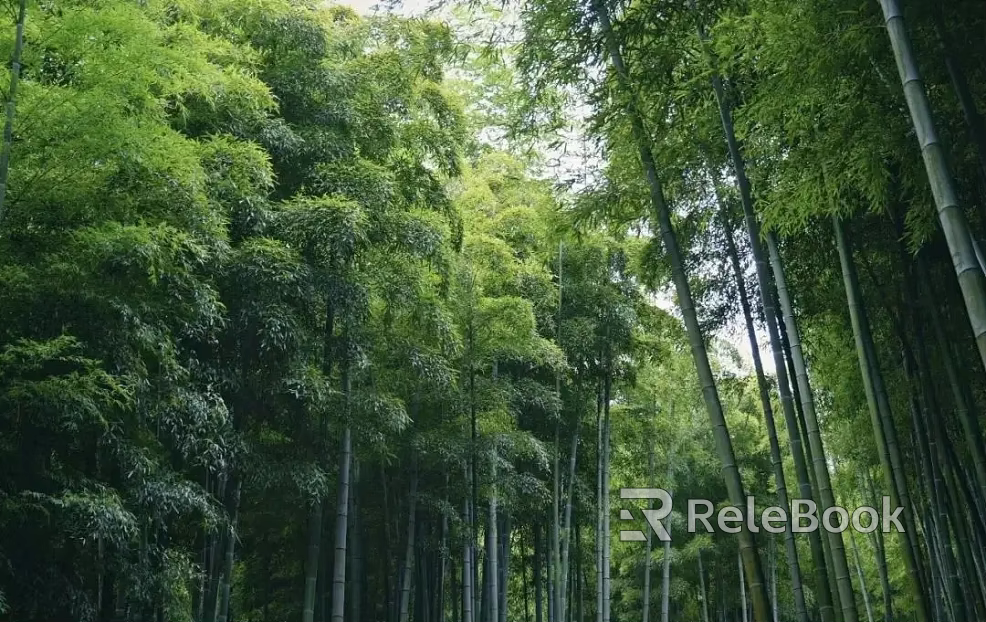 Forest texture