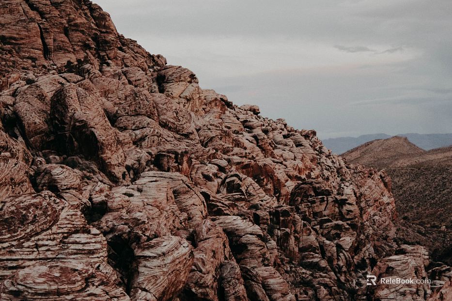 Wild Scenery texture