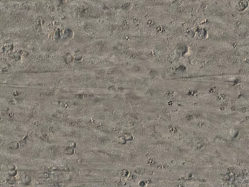 Beach Beach texture (ID:ffabf8980)