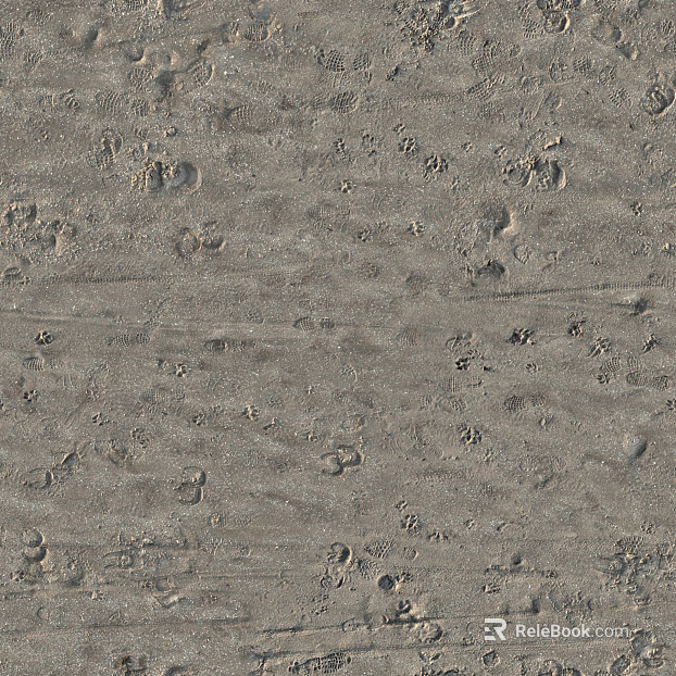 Beach Beach texture