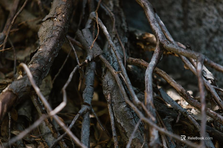 Trunk texture