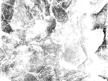 Highlight Mask texture (ID:ffaeg74155)