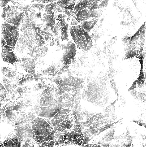 Highlight Mask texture
