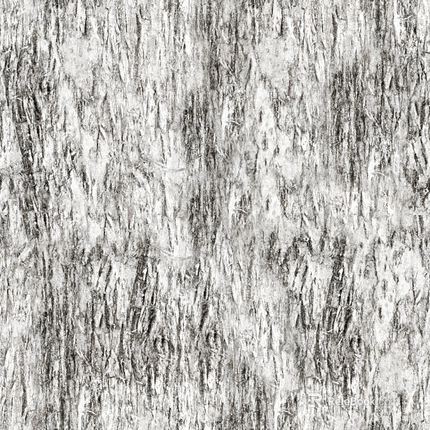 bark texture