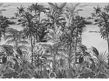 Black and white tropical plants background wallpaper texture (ID:ffaeh880626)