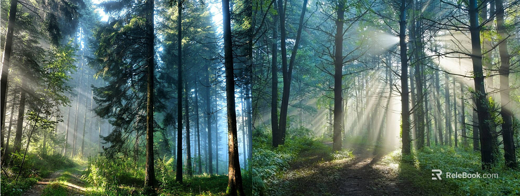 Wild Scenery texture