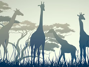 animal and plant pattern texture (ID:ffabg68011)