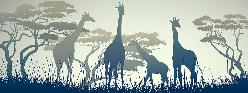 animal and plant pattern texture