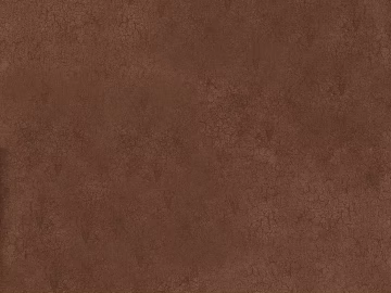 Mud texture (ID:ffabf9451)