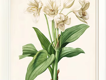 Plant painting texture (ID:ffajg88297)