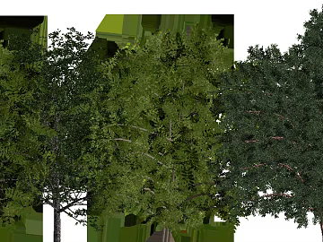 Plants texture (ID:ffajf2028)