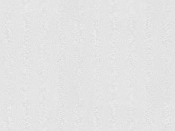 fine grain leather 3d model