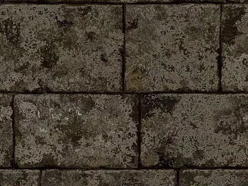 Stone Paving texture (ID:ffhfe560)