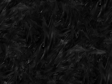 Black and white stone map texture (ID:ffabf8522)