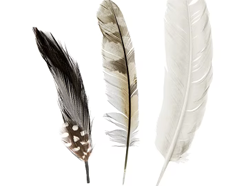 decorative painting texture (ID:ffajf8687)