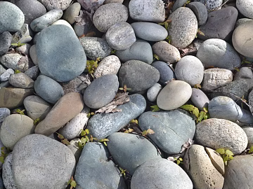 Pebbles texture (ID:ffabg37130)