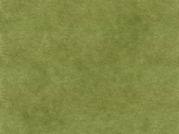 Turf texture (ID:ffacg52163)