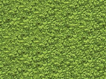 moss texture (ID:ffaag12125)