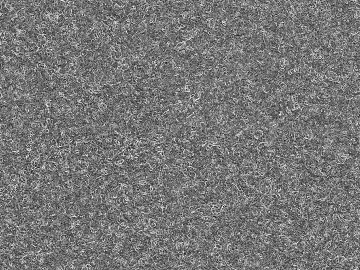 Black and White Bump 3d model