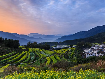 Pastoral scenery texture (ID:ffach773075)