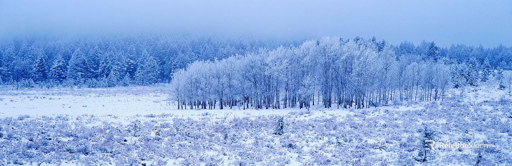 Snow texture