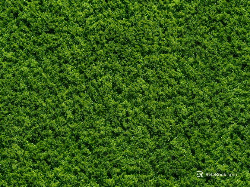 moss texture