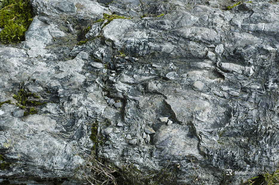 Rock Stone Limestone texture