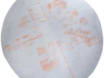 Modern Round Carpet texture (ID:ffach451914)