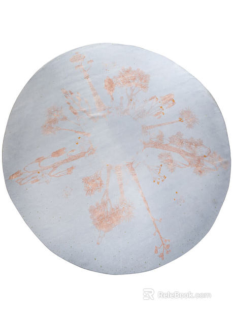 Modern Round Carpet texture