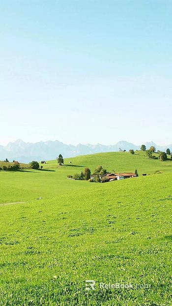 Wild Scenery texture