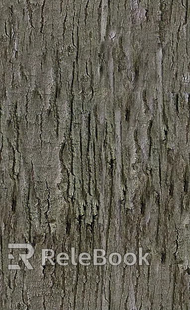 bark texture