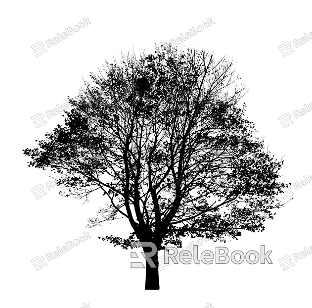 black and white tree shadow texture