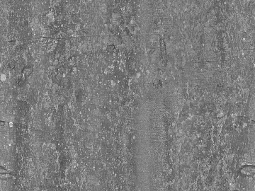 bark texture (ID:ffabg37246)