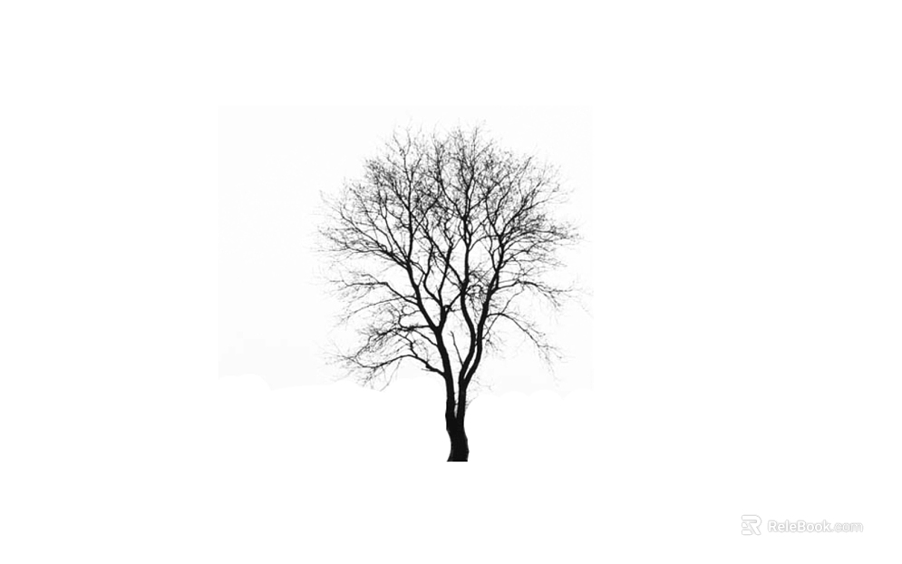 black and white tree shadow texture
