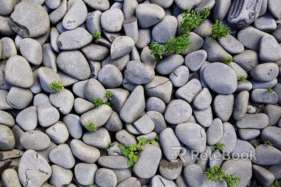 "Pebbles showcases an array of smooth, rounded stones in various earthy tones, scattered across a sandy shore under the soft, diffused light, evoking a serene beach atmosphere." 

Note: Since the picture is not actually displayed in the text, I described based on typical pebble scenes. The image des