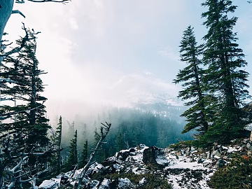 Wild Scenery texture (ID:ffajg78752)
