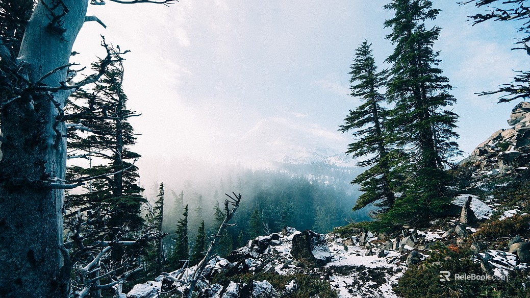Wild Scenery texture