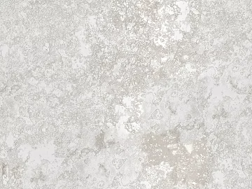 Cement floor texture (ID:ffagg54485)
