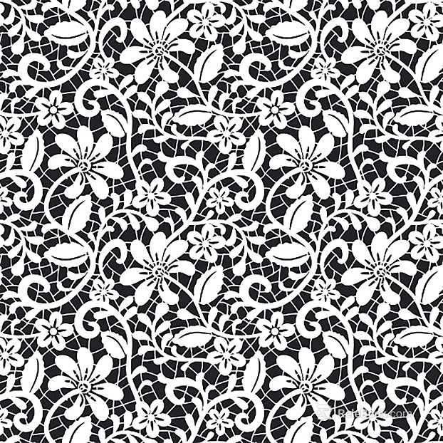 White floral lace dress decoration texture