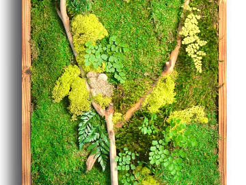 Plant painting texture (ID:ffagg56462)