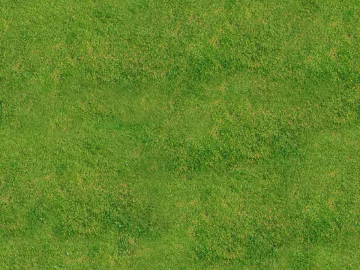 Turf texture (ID:ffhie201)