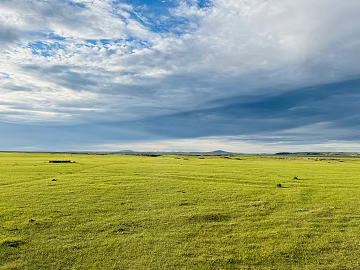 Wild Scenery texture (ID:ffach256710)