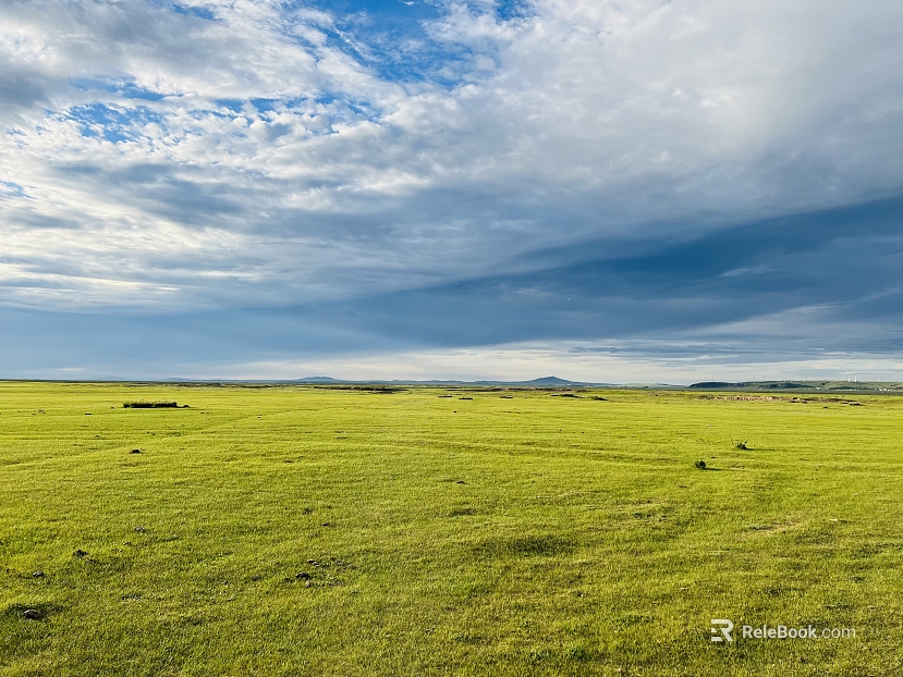 Wild Scenery texture