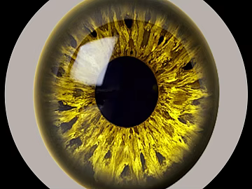Golden iris simulation eye pupil decoration map texture (ID:ffaeh612196)