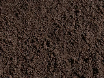 Mud texture (ID:ffaeg26573)