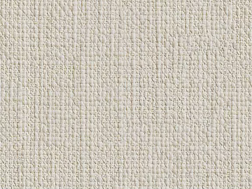 plain cloth texture (ID:ffach658356)